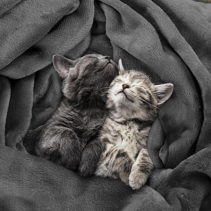 Bedding Fleece Blanket Queen Size Grey (90x90 Inches) Ultra Soft Warm Lightweight Microfiber Breathable Anti-Static Cozy Bed Blanket, All-Season Home Decor Gift for Men & Women