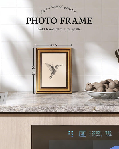 Vintage Gold Framed Wall Art, Sketch Birds Canvas Painting, Cute but Exquisite Wall Decor, No Glass No Glare, Suitable for Bedside Tables, Foyer, Bookshelves,【Hummingbird】-10L x 8W